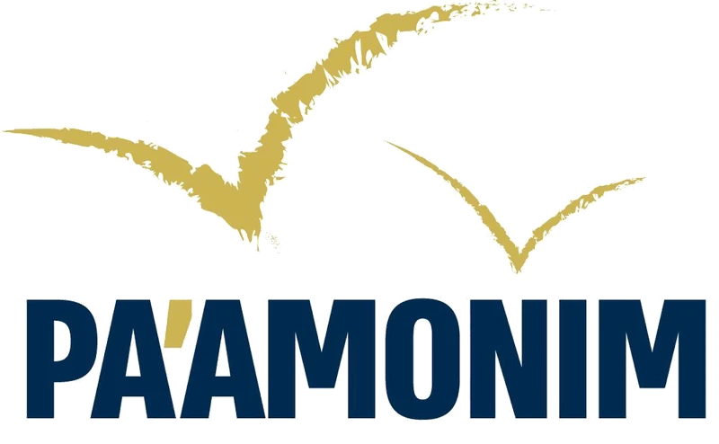 Pa'amonim